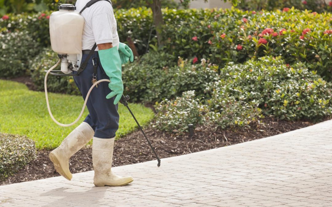 How to become a pest control technician | The Briostack Blog