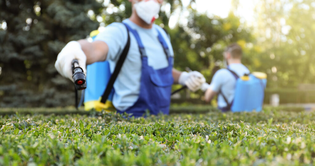 pest-control-park