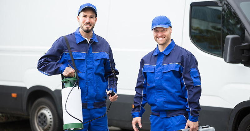 Happy Pest Control Workers In Front of Van