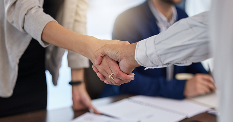 Consultant and client shaking hands