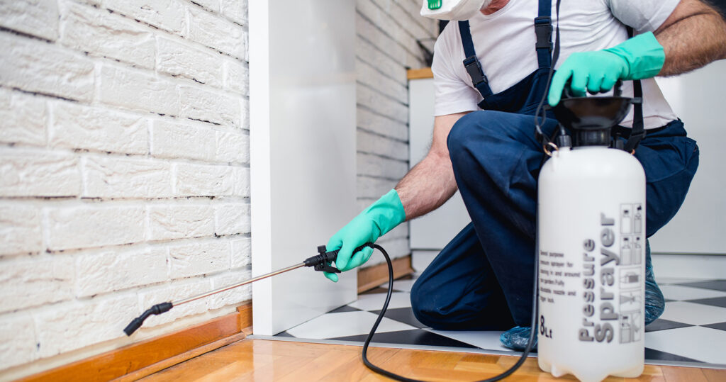Man spraying house interior with pesticide