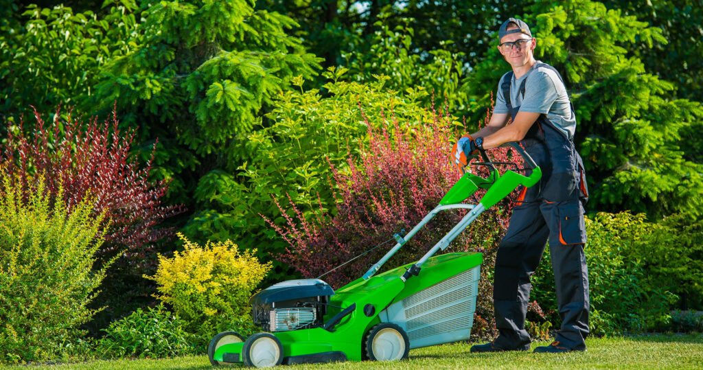 Professional lawn mowing