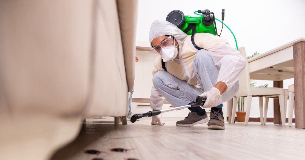 Pest control tech treats bugs in home