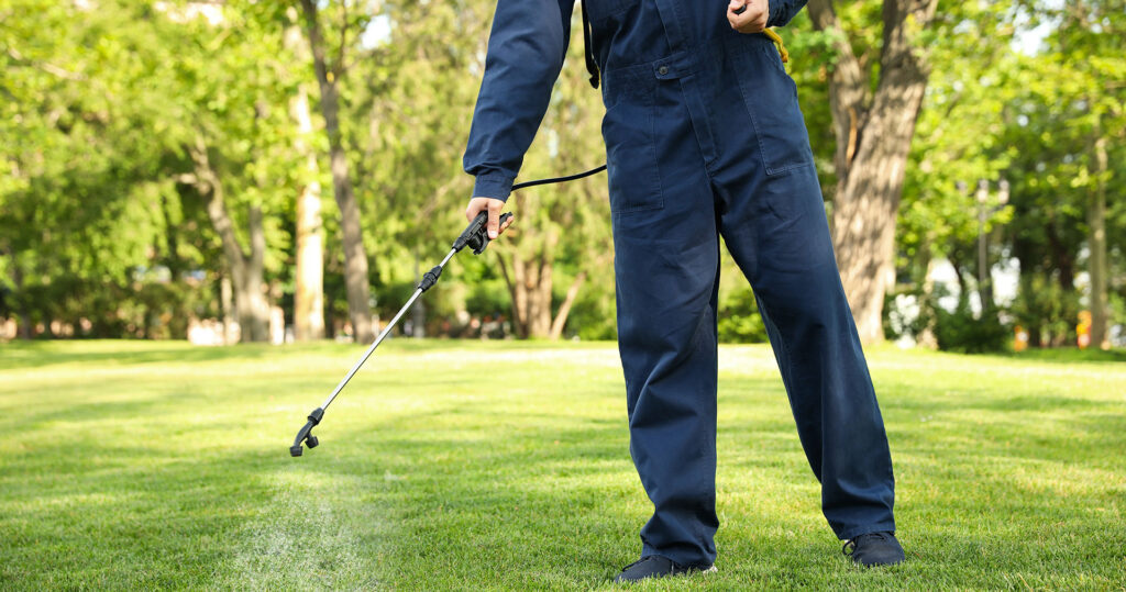 Pest-Control-Spraying-Lawn