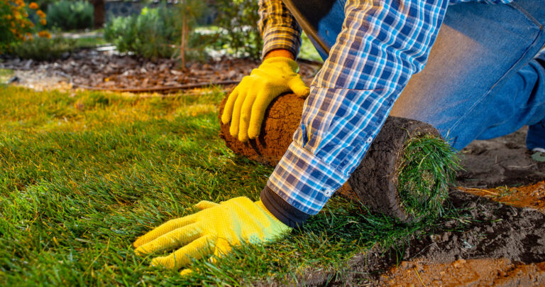 Lawn worker smooths turf
