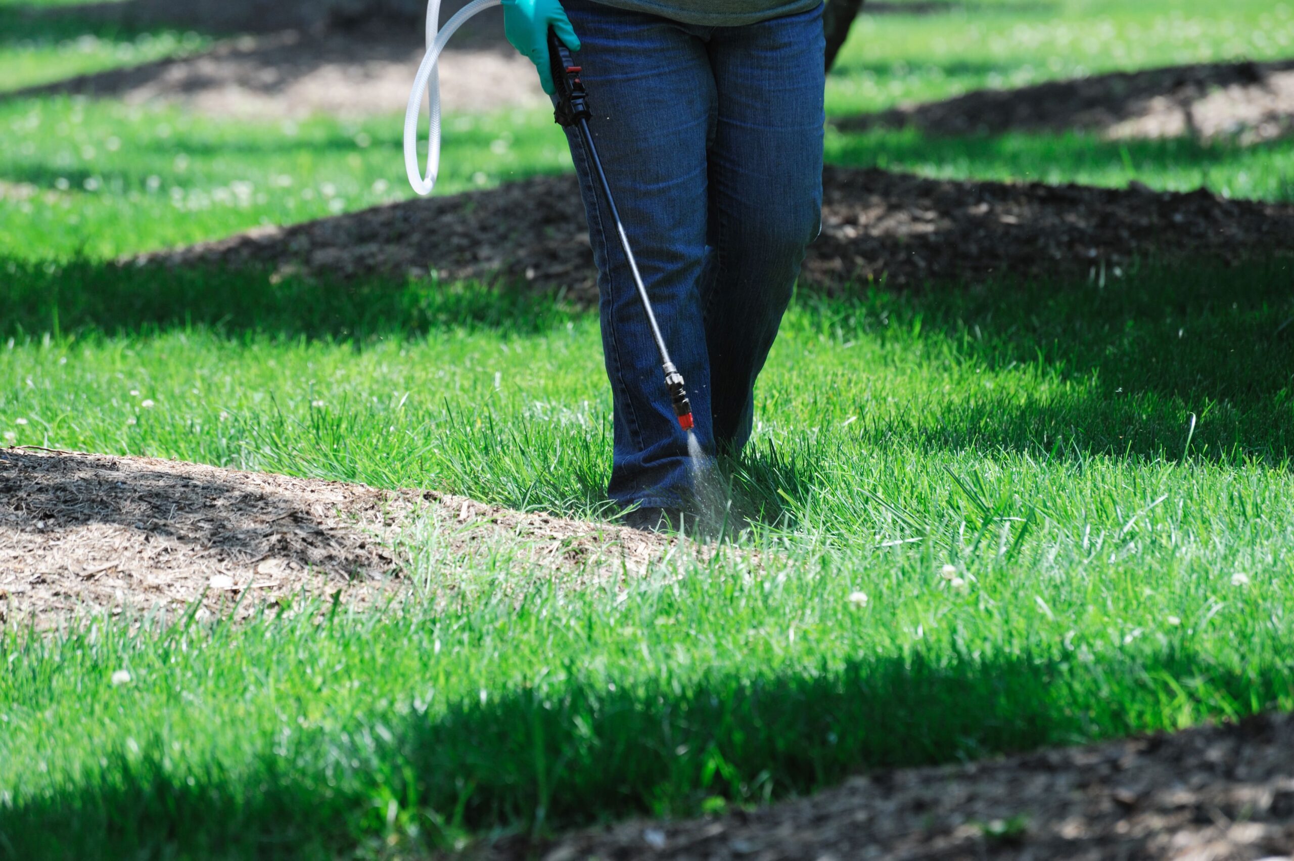 a person spraying the grass