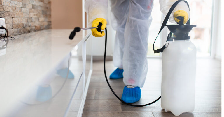 Pest control spraying in a home