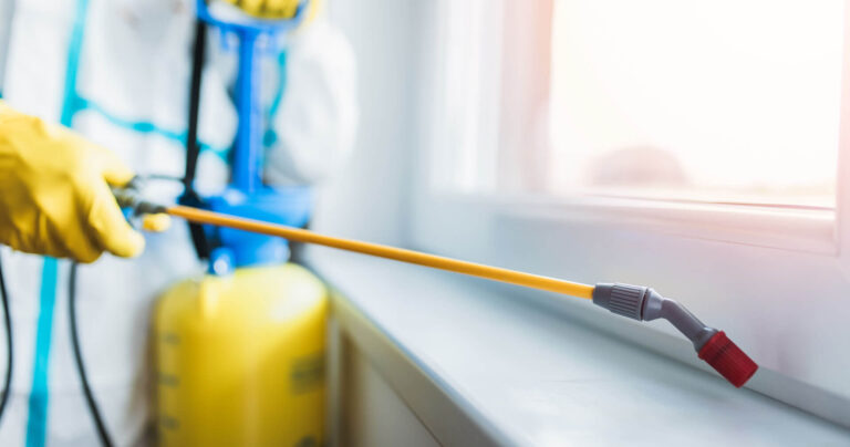 pest control technician spraying inside a house next to a window