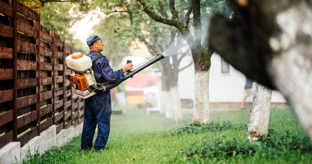 pest control technician spraying trees